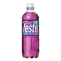 FESTIS BLUEBERRY PEAR SF 50CL (PANT 2KR)