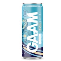 GAAM ENERGY ME28 FLÄDER 33CL